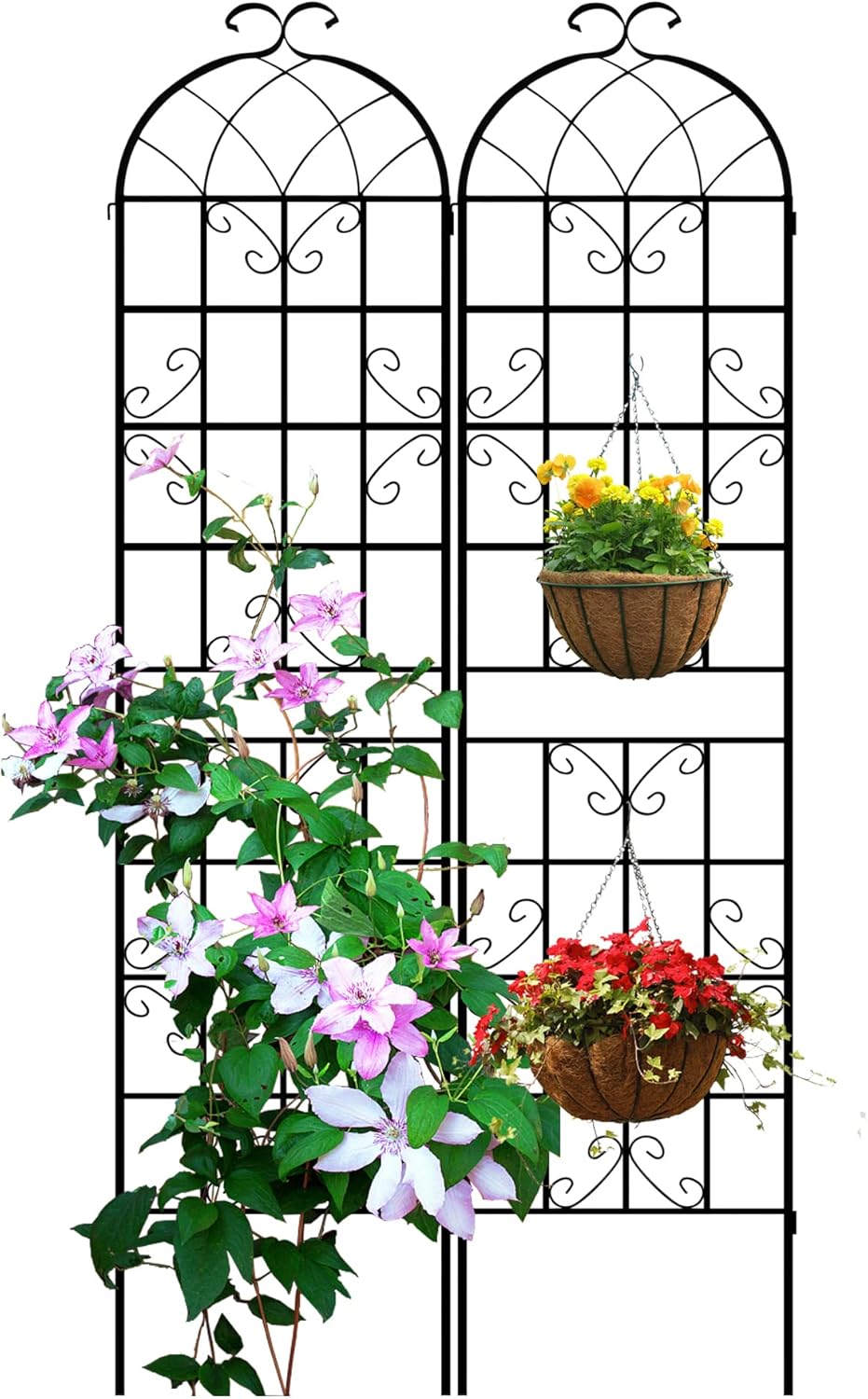 LZRS 4 Pack 71x20in Rustic Iron Arch Decoration Garden Trellis with Black Metal Coating – Perfect for Supporting Climbing Plants Outdoor, Roses, Vines, Flowers, and Vegetables.