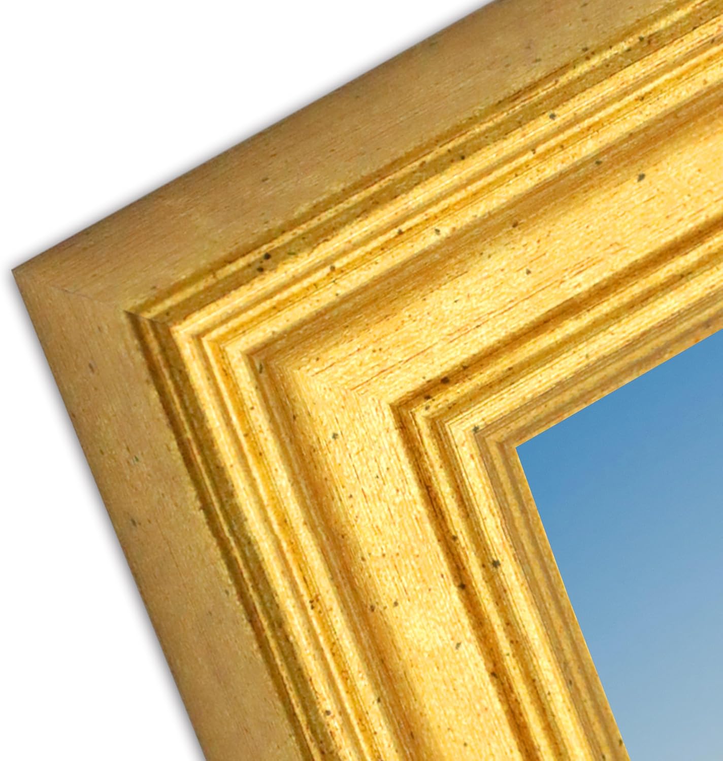 20x24 Distressed Black & Gold Ornate Antique Picture Frame – Vintage Wall Frame for 20x24 Photos, No Mat – Decorative Baroque Style for Home or Gallery Display